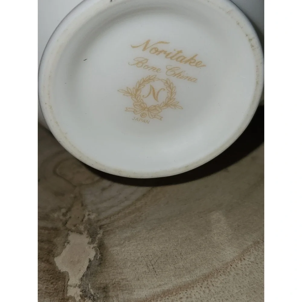 Noritake japanese bone